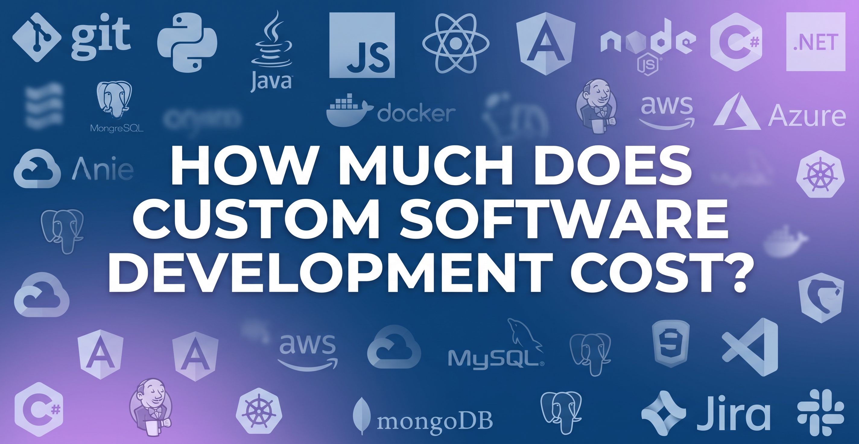 How Much Does Custom Software Development Cost?